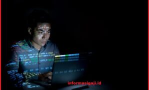 Berapa besaran Gaji IT Programmer di Indonesia