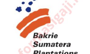 Gaji PT Bakrie Sumatera Plantations Tbk