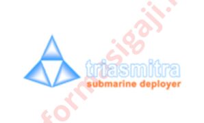 Gaji PT Ketrosden Triasmitra