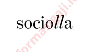 Gaji PT Social Bella Indonesia
