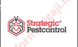 Gaji PT Strategic Pestcontrol Gaji PT Strategic Pestcontrol