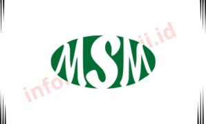 Gaji PT Megah Sakti Mandiri